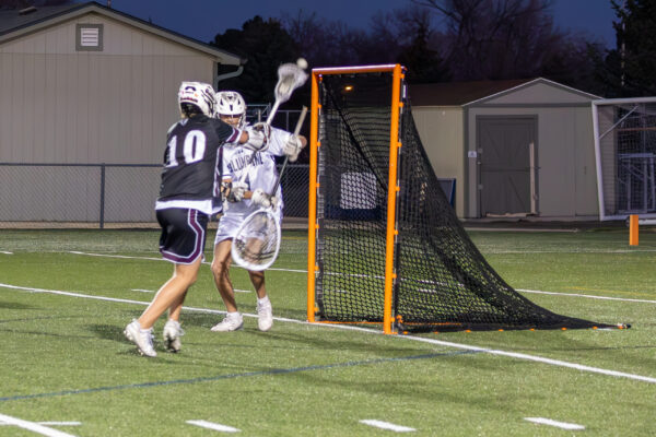 55174140396_47b494cb6d_o 55174140396_47b494cb6d_o