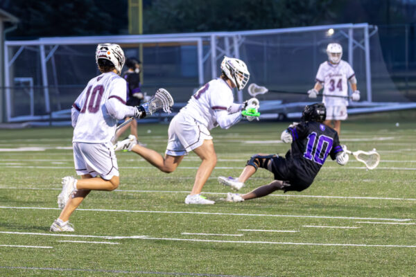 55186167222_a556f55b5f_o 55186167222_a556f55b5f_o